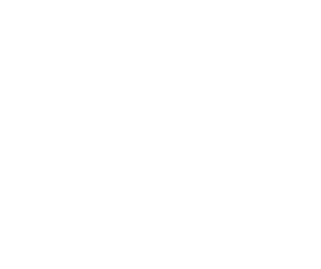 Andritz