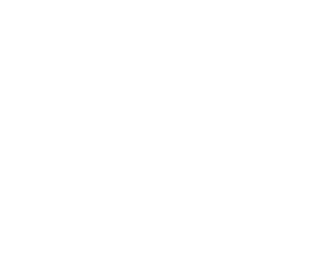 Puntigam