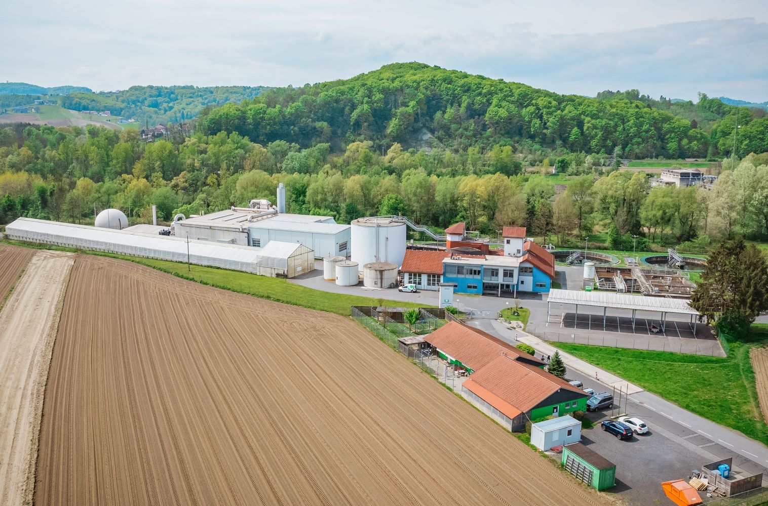 blickinsgruene.at - strass - ngs skandal