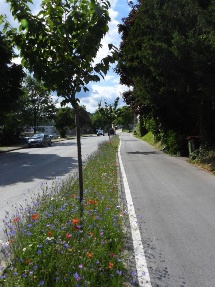 blickinsgruene.at - mureck - naturnahe begruenung