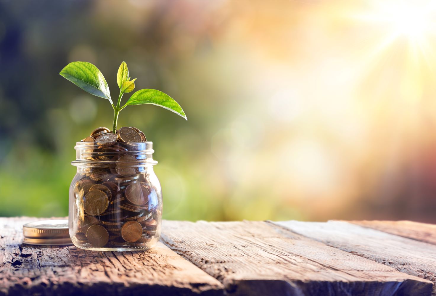 zu sehen ist: Geld im Glas, Pflanze wächst raus. Auf Holztisch mit Sonne im Hintergrund