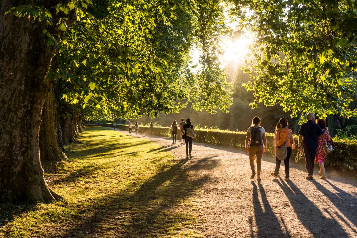 Zu sehen sind: mehrere Personen gehen in einem Park spazieren