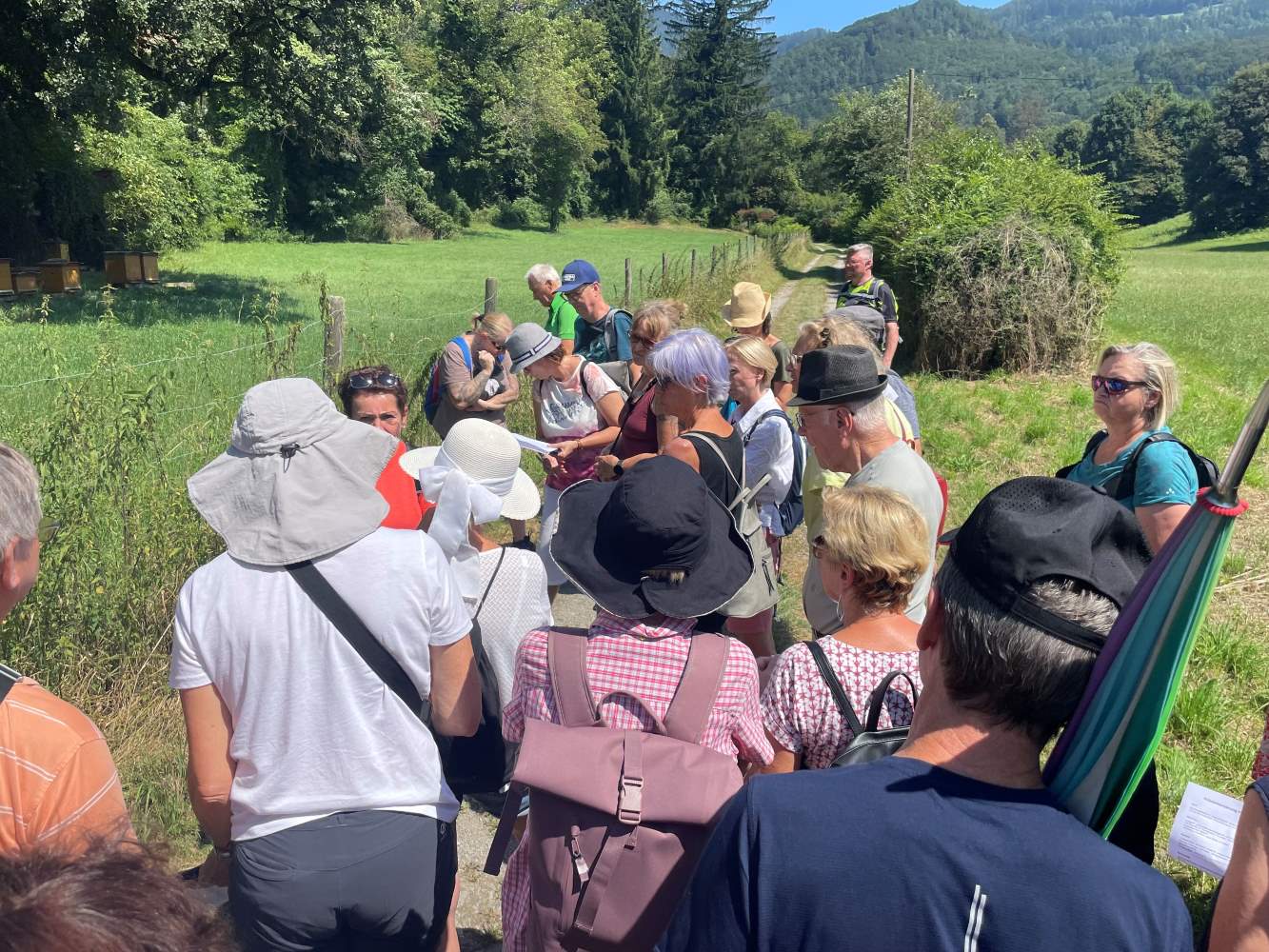 Frohnleiten-Kräuterwanderung3-red Frohnleiten-Kräuterwanderung3-red