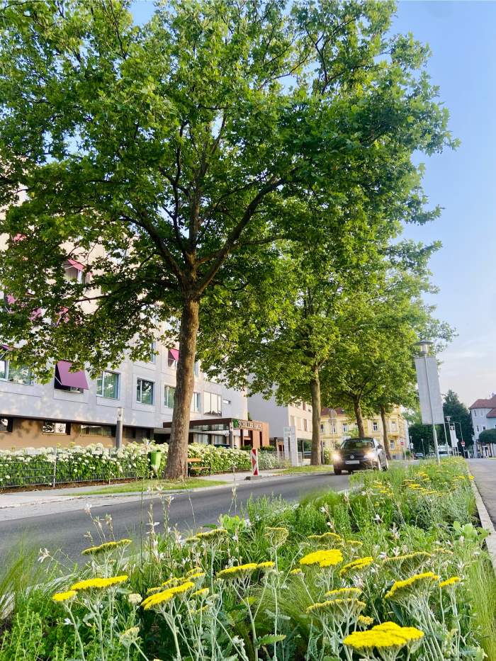 blickinsgruene-sep24-gleisdorf-bluehstreifen