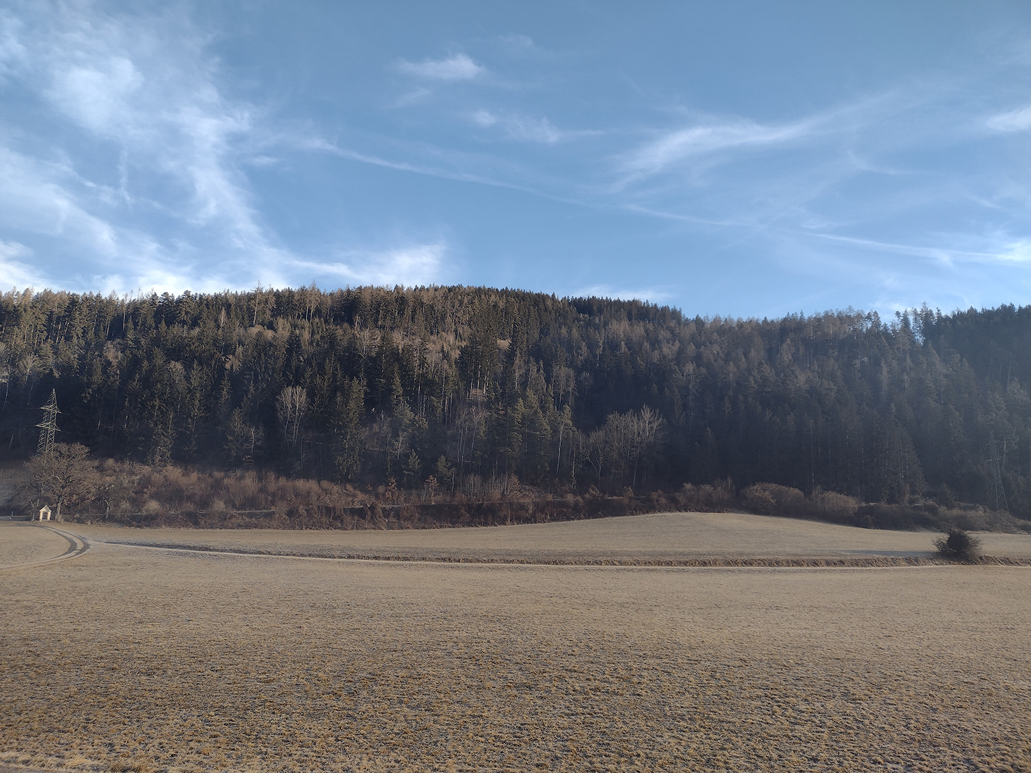 Foto_Schlick-Wiese1
